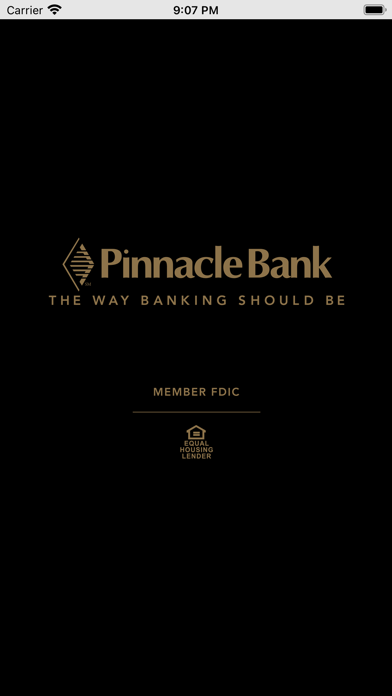 Pinnacle Bank Texas Business Screenshot