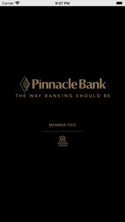 Pinnacle Bank Texas Business