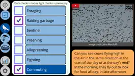 Game screenshot Crow Scientist mod apk