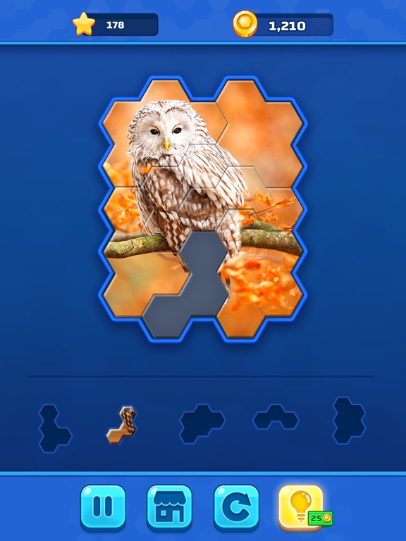Screenshot #5 pour Hexa Jigsaw Challenge
