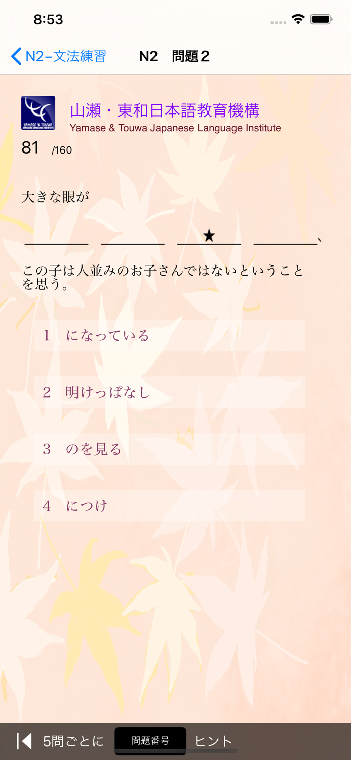 JLPT N2 文法練習