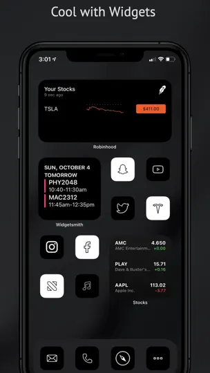Captura de pantalla de Icono De Aplicación Estética en iPhone 7