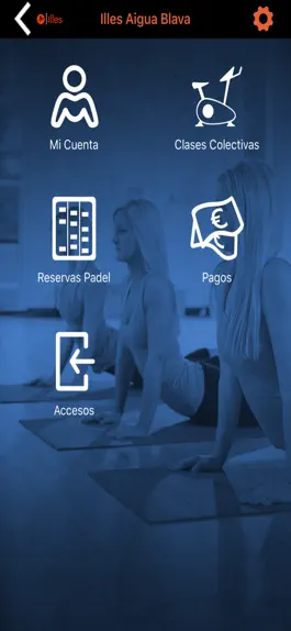 Game screenshot Illes centres de wellness hack