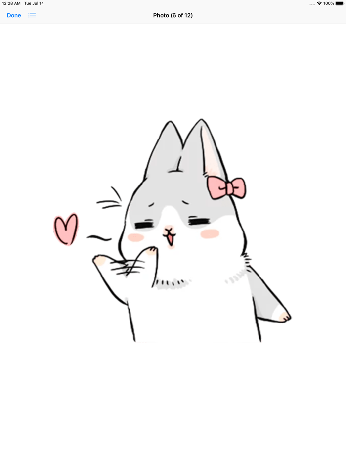 Machiko Rabbit pack 1