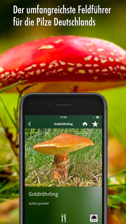 Pilzführer Deutschland, Pilze!