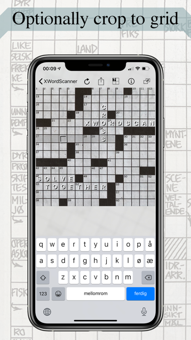 Crossword Scanner Coop Screenshot