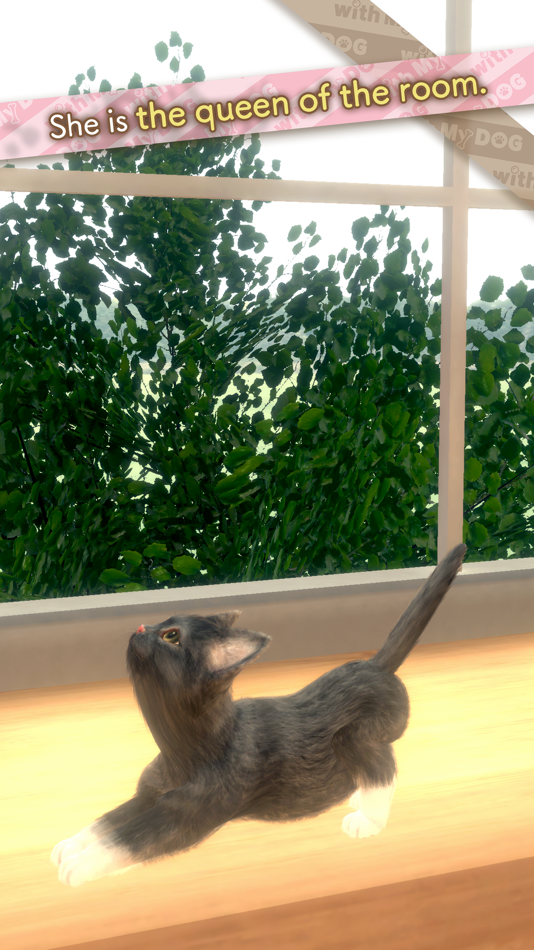 #2. with My CAT (iOS) By: Neilo inc.
