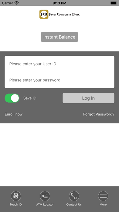 First Community Bank MN Screenshot