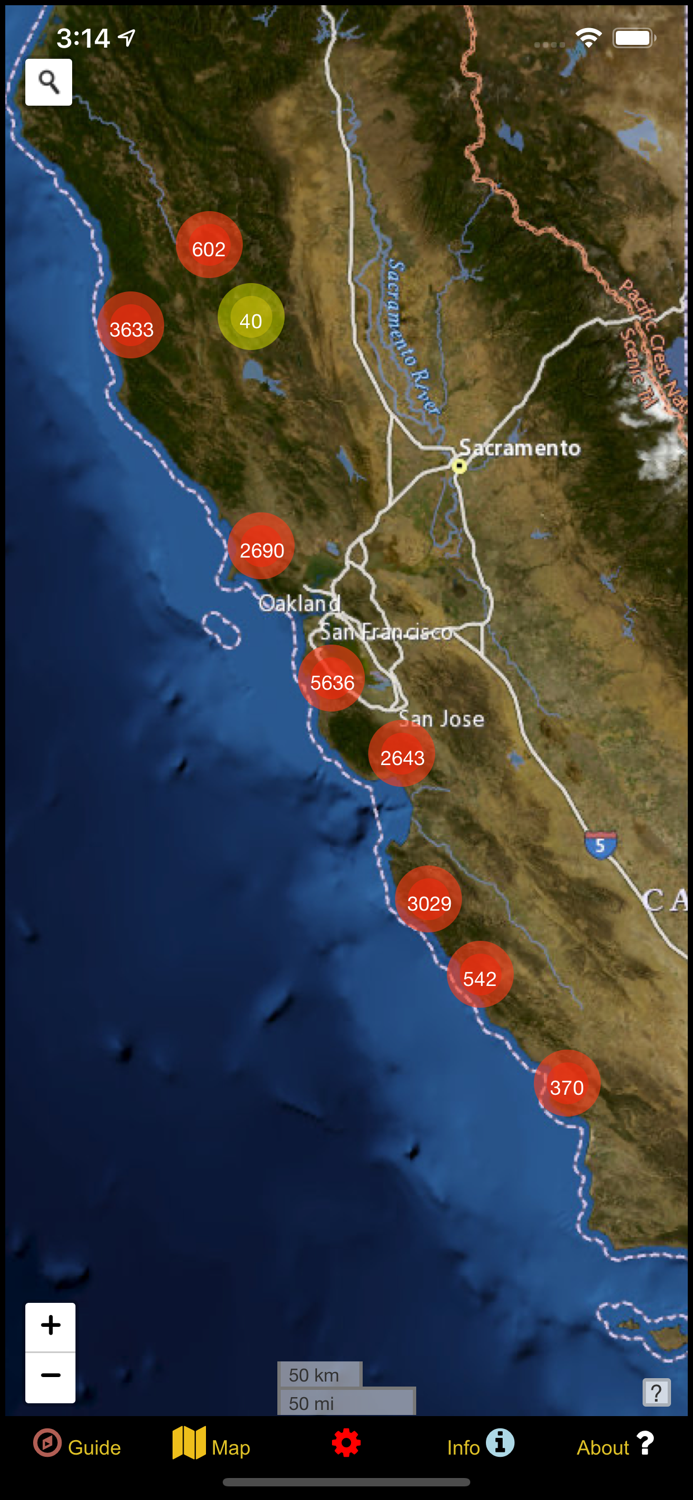 California WC Mushroom Forager
