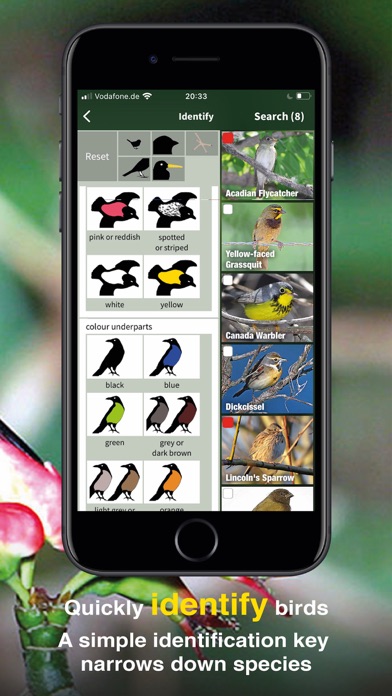 Screenshot #2 pour All Birds PR -> Antigua