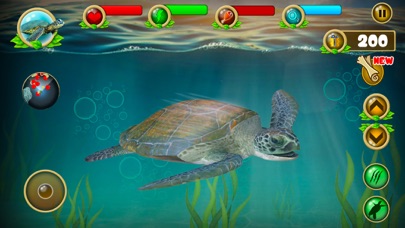 Sea Turtle Survival Sim Games Screenshot