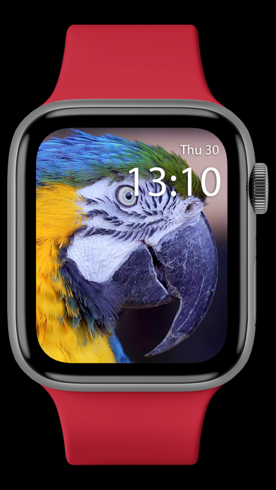 Live Watch Faces Screenshot