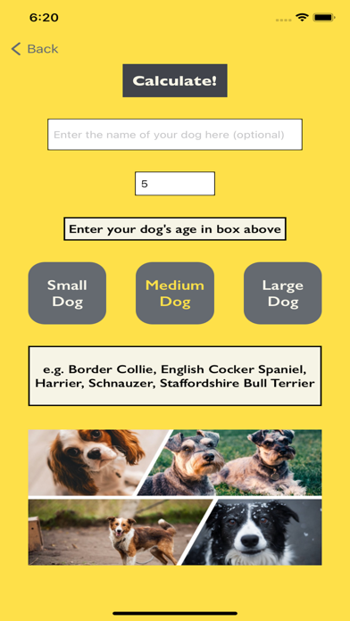 DogYears - A Pet Age Converter Screenshot