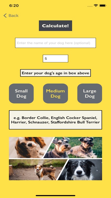 DogYears - A Pet Age Converter