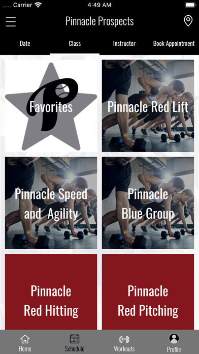 Pinnacle Prospects Screenshot