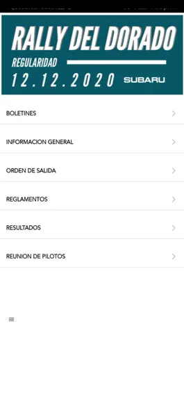 Game screenshot Rally Director apk