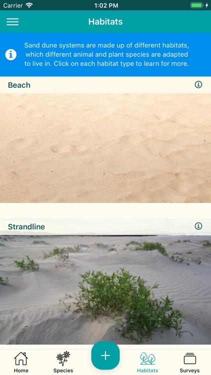 Dynamic Dunescapes