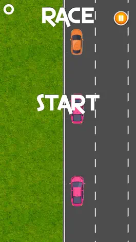 Game screenshot Race Slide mod apk
