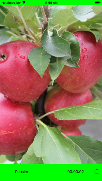 Screenshot #3 pour PiPu