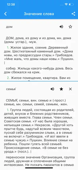 Game screenshot Русский Толковый Словарь. apk