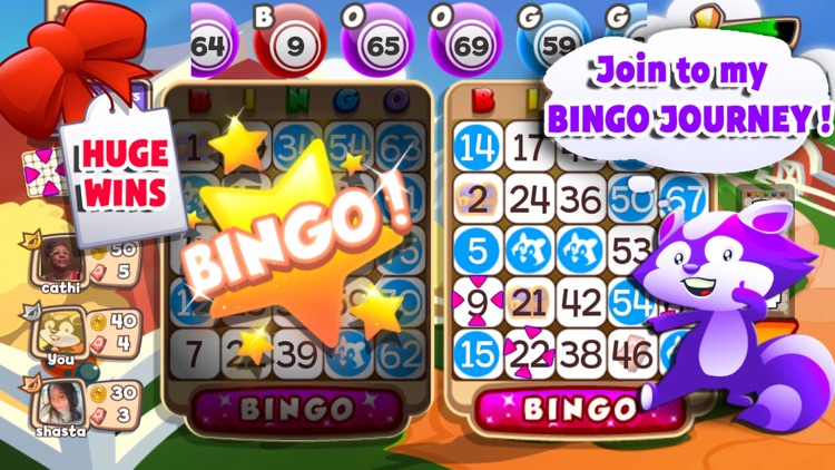 Bingo Raccoon