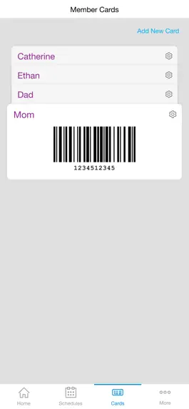 Game screenshot YMCA of Kingston & Ulster Co. hack