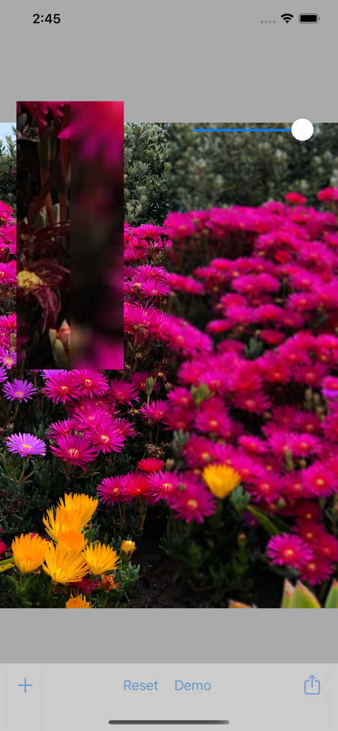 Blur Me Image Blurring