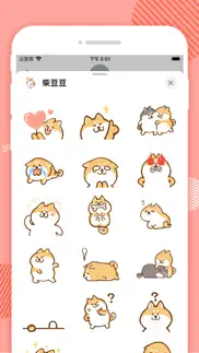 柴豆豆 iphone screenshot 3
