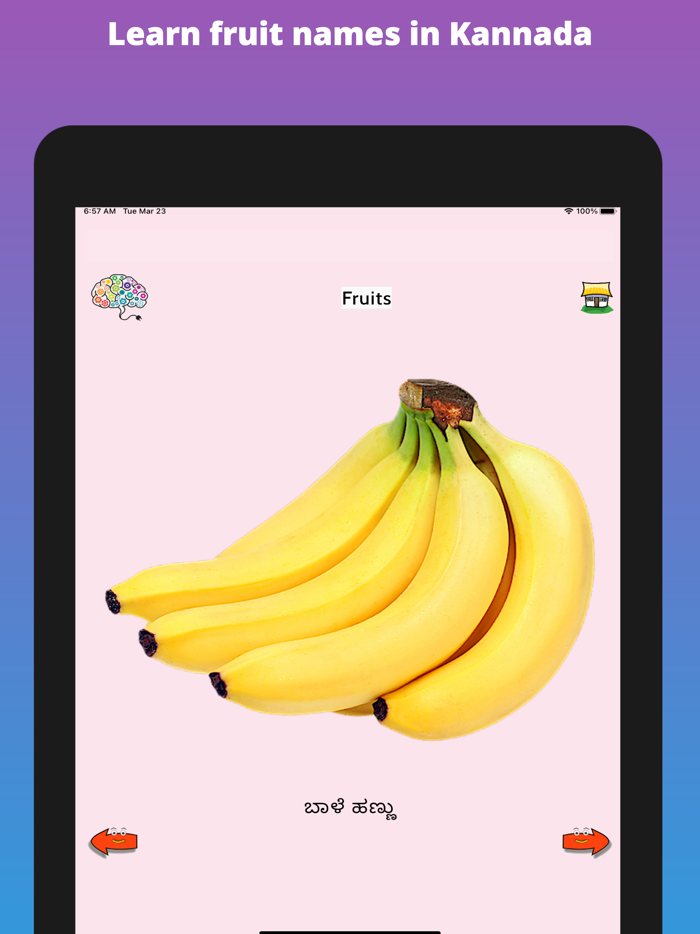 Learn Kannada Flashcards