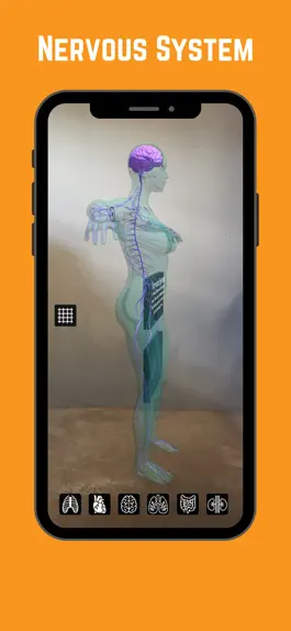 Game screenshot Complete Anatomy with Sisanda hack