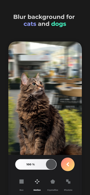 Blur photo Screenshot