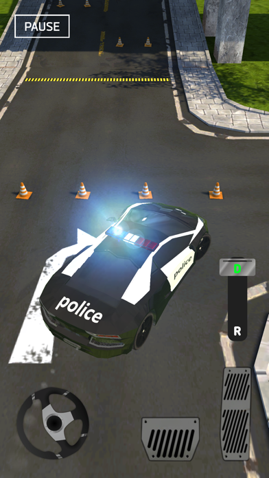 Park The Car 3D Screenshot