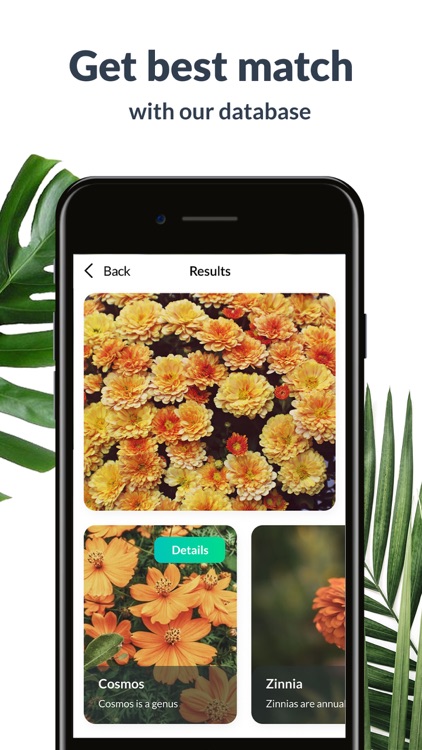Plant Identification Lite screenshot-3