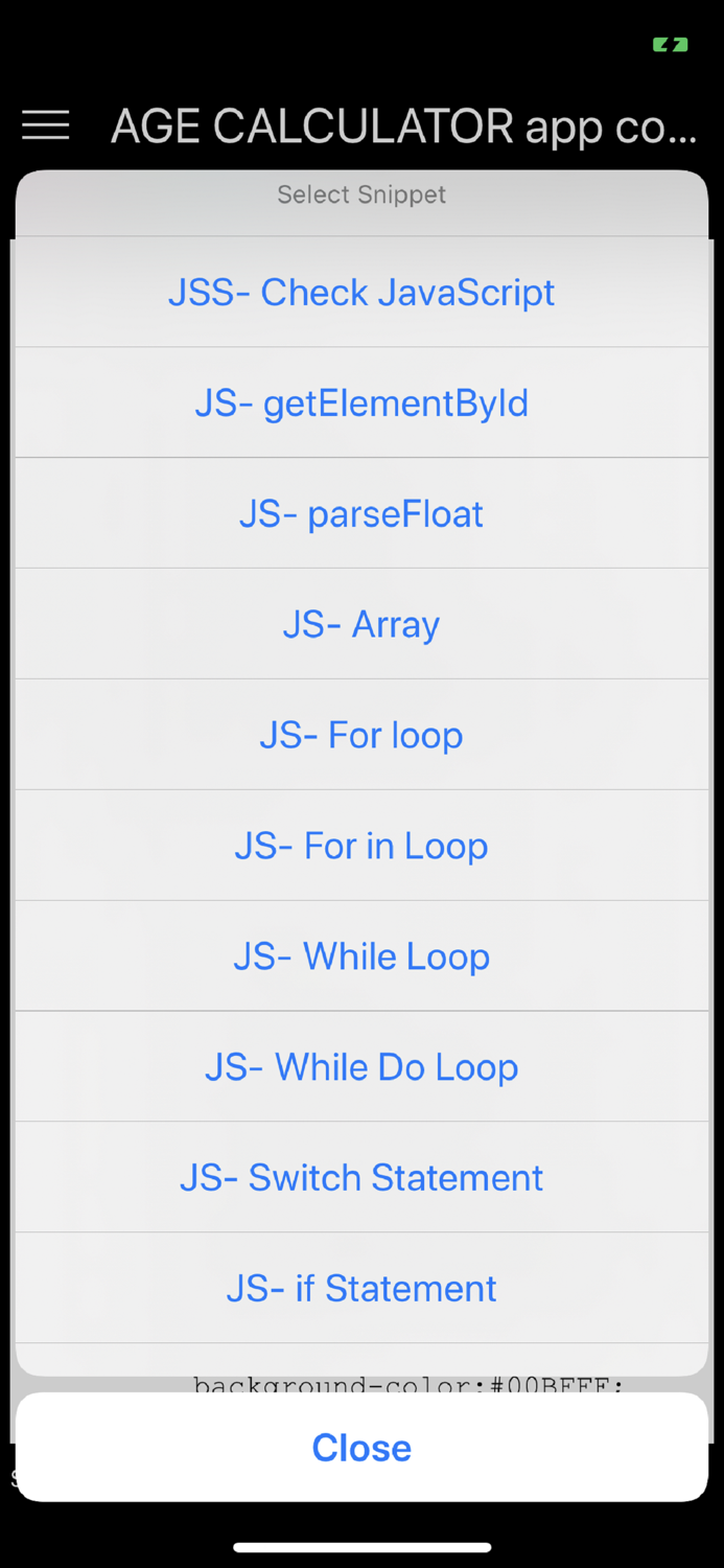 JavaScript Studio Pro