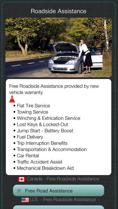 Cadillac Warning Lights Info Screenshot