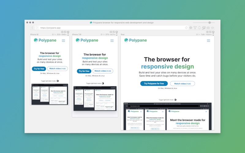 Screenshot #1 pour Polypane helper