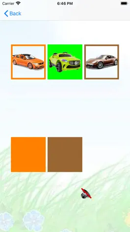 Game screenshot ColorsSense apk