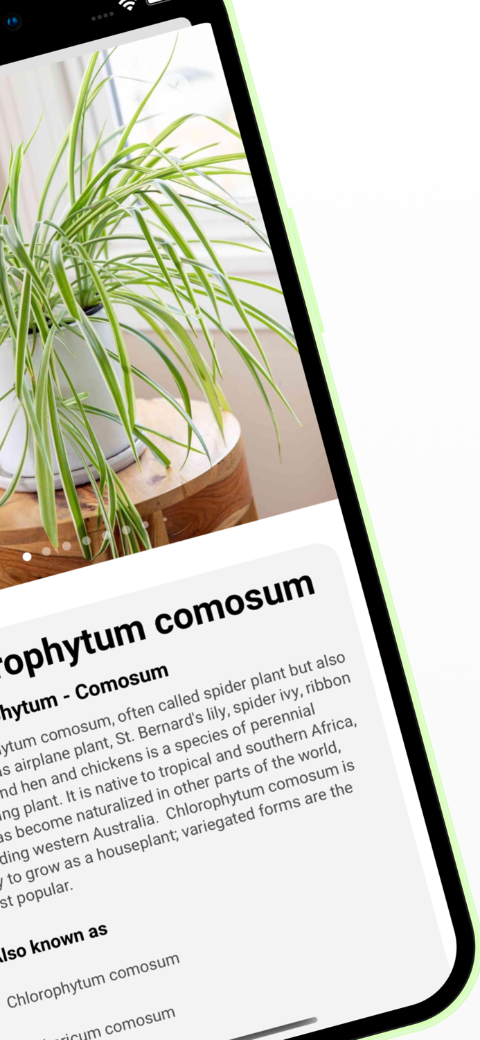 Plant ID - Identify Plants