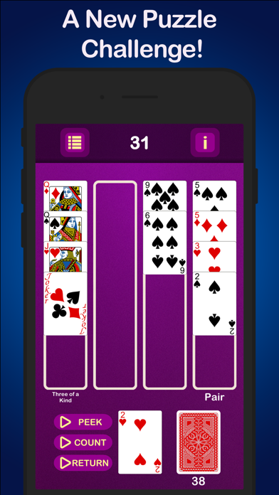 Puzzle Poker Joker's Wild Screenshot