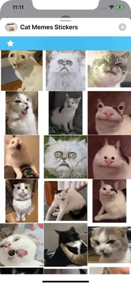 Game screenshot Cat Memes Stickers apk
