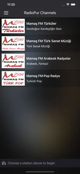 Game screenshot Radio Pur mod apk
