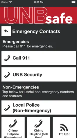 Game screenshot UNB Safe hack