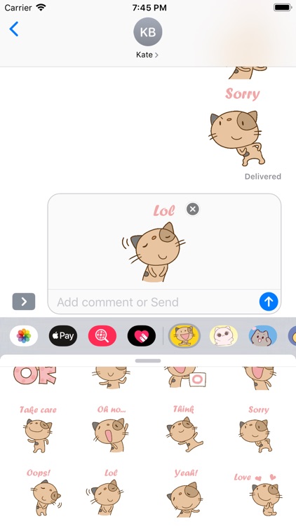 Cute Puss Stickers Pack