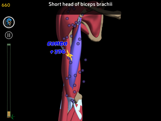 Anatomy Ninja Upper Limbのおすすめ画像5