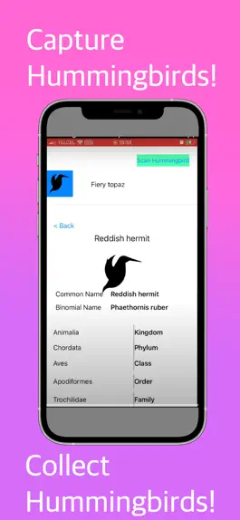 Game screenshot Hummingbird Identifier apk