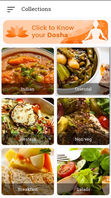 Ananda Cuisine Screenshot