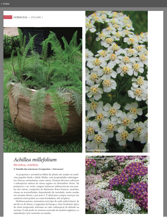 Screenshot #6 pour Enciclopédia Natureza