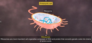 Prokaryotic & Eukaryotic cell screenshot #3 for iPhone