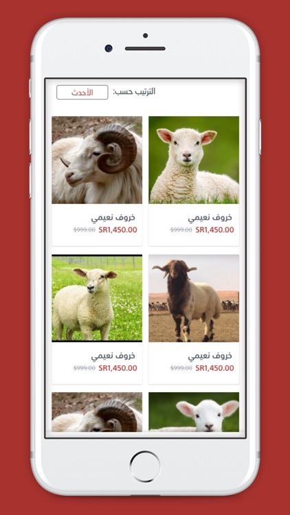 لحوم الشرقية