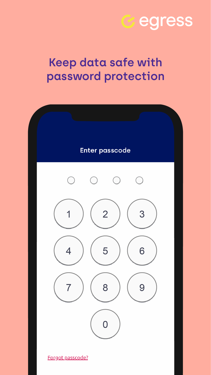 Egress Secure Workspace